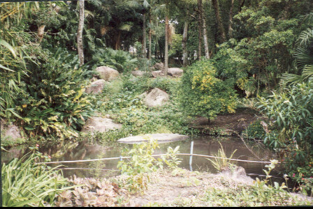 ../fotos/acude99.jpg (75842 bytes)