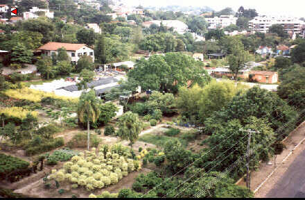 foto001.jpg (31642 bytes)