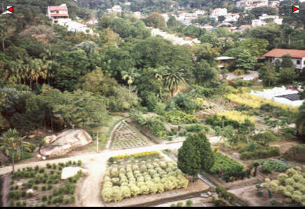 foto003.jpg (30741 bytes)