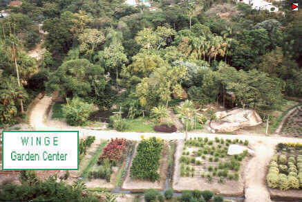 foto005.jpg (30224 bytes)