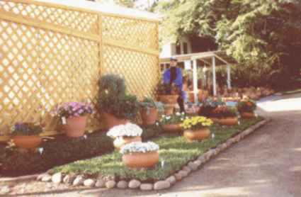 foto025.jpg (14429 bytes)