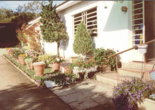 foto026.jpg (75842 bytes)